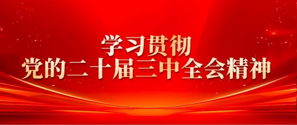 學(xué)習(xí)貫徹黨的二十屆三中全會(huì)精神③ 濟(jì)糧集團(tuán)黨委書記、董事長王暉： 提升綠色倉儲(chǔ)水平，扛穩(wěn)糧食安全重任
